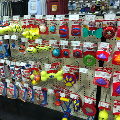 Pet Store «Choice Pet Market», reviews and photos, 2915 W Ray Rd, Chandler, AZ 85224, USA