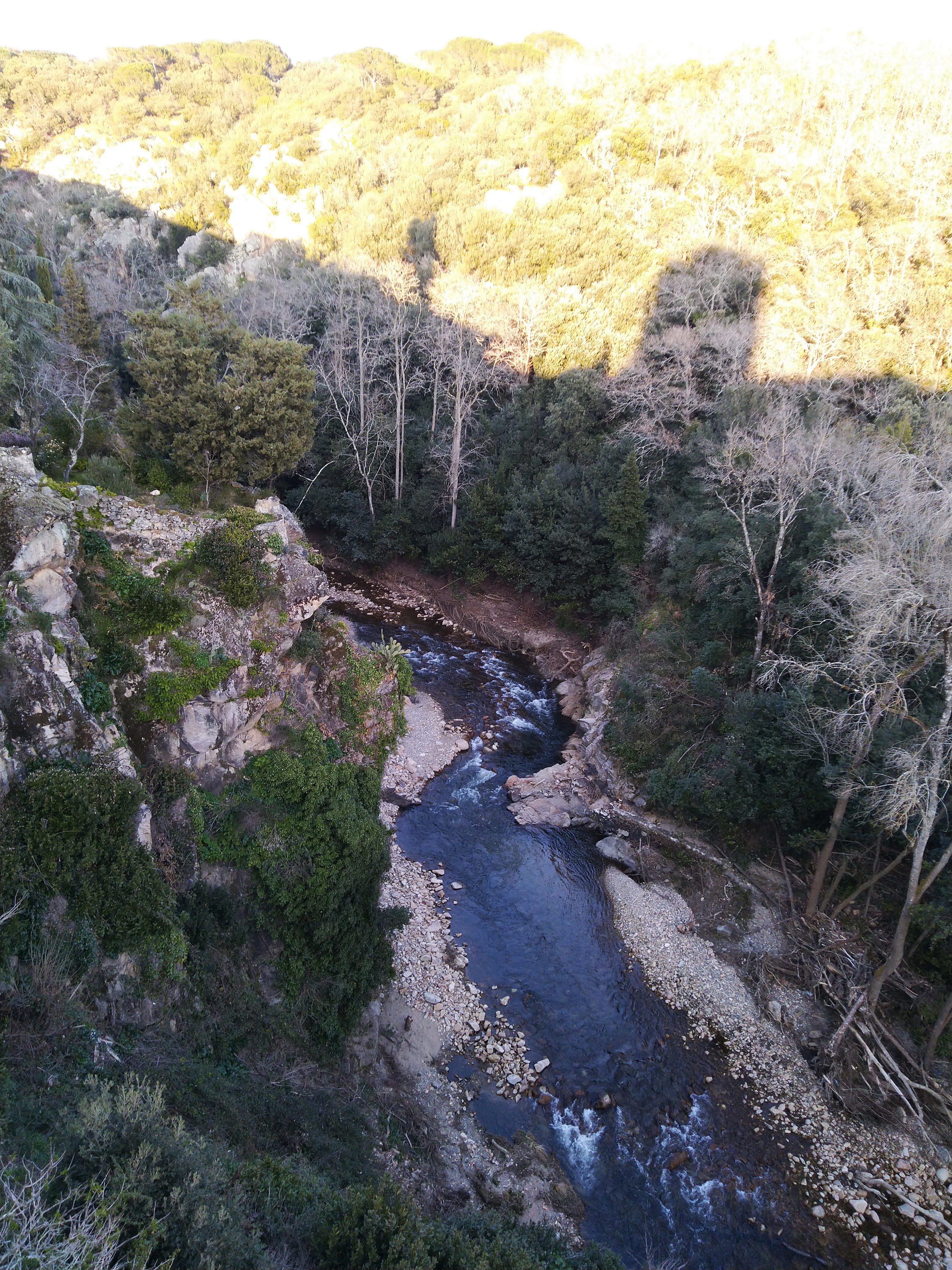 Photo n° 1 de l'avis de J-R. fait le 05/03/2019 à 17:34
