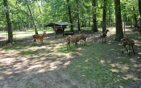 Wildpark Mannheim image