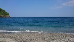 Foto de Neipi Beach apoiado por penhascos
