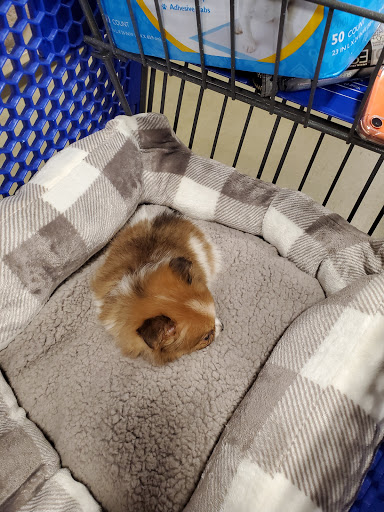 Pet Supply Store «PetSmart», reviews and photos, 1720 N Pointe Dr, Durham, NC 27705, USA