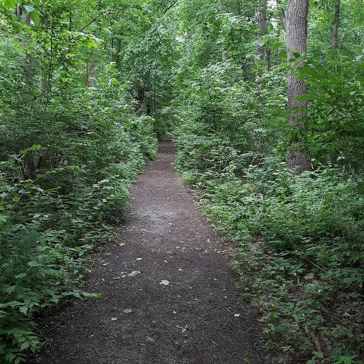 Virginia B. Matley Nature Trail, 37701 Eight Mile Rd, Livonia, MI 48152