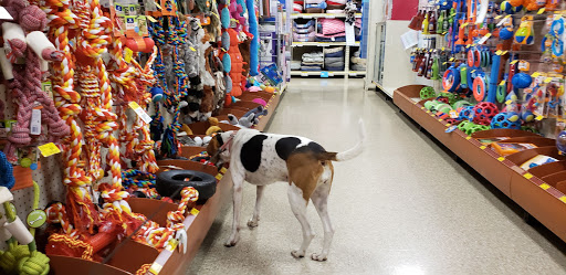 Pet Supply Store «PetSmart», reviews and photos, 14 Crossing Way #2, Augusta, ME 04330, USA