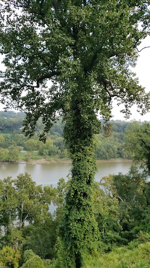 George Washington Memorial Parkway First Overlook - photo 59