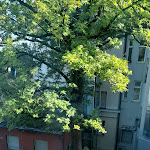 Photo n°2 de l'avis de K.e fait le 11/09/2022 à 08:14 sur le  château de Blutenburg à Munich