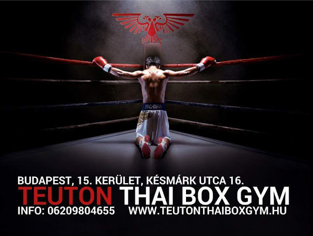 Teuton thai box gym - Budapest