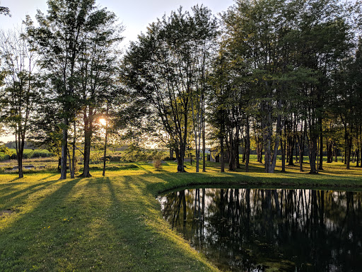 Vineyard «Laurentia Vineyard & Winery», reviews and photos, 4599 S Madison Rd, Madison, OH 44057, USA