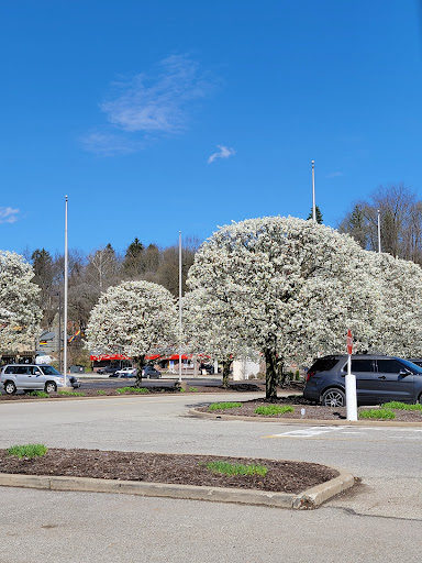 Variety Store «Five Below», reviews and photos, 4801 McKnight Rd, Pittsburgh, PA 15237, USA