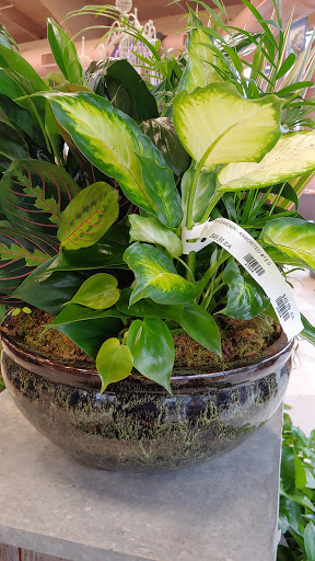 Garden Center «English Gardens», reviews and photos, 44850 Garfield Rd, Charter Twp of Clinton, MI 48038, USA