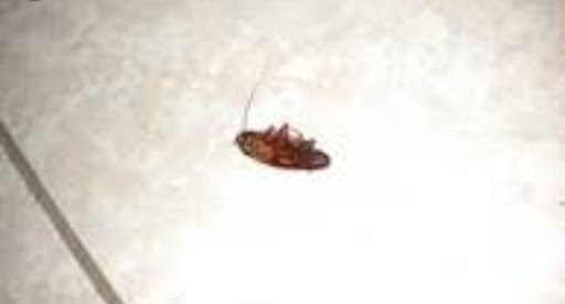 Tattoo Shop «Infamous Tattoos», reviews and photos, 5330 Old National Hwy, College Park, GA 30349, USA