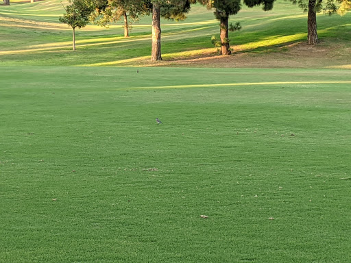 Public Golf Course «Tustin Ranch Golf Club», reviews and photos, 12442 Tustin Ranch, Tustin, CA 92782, USA