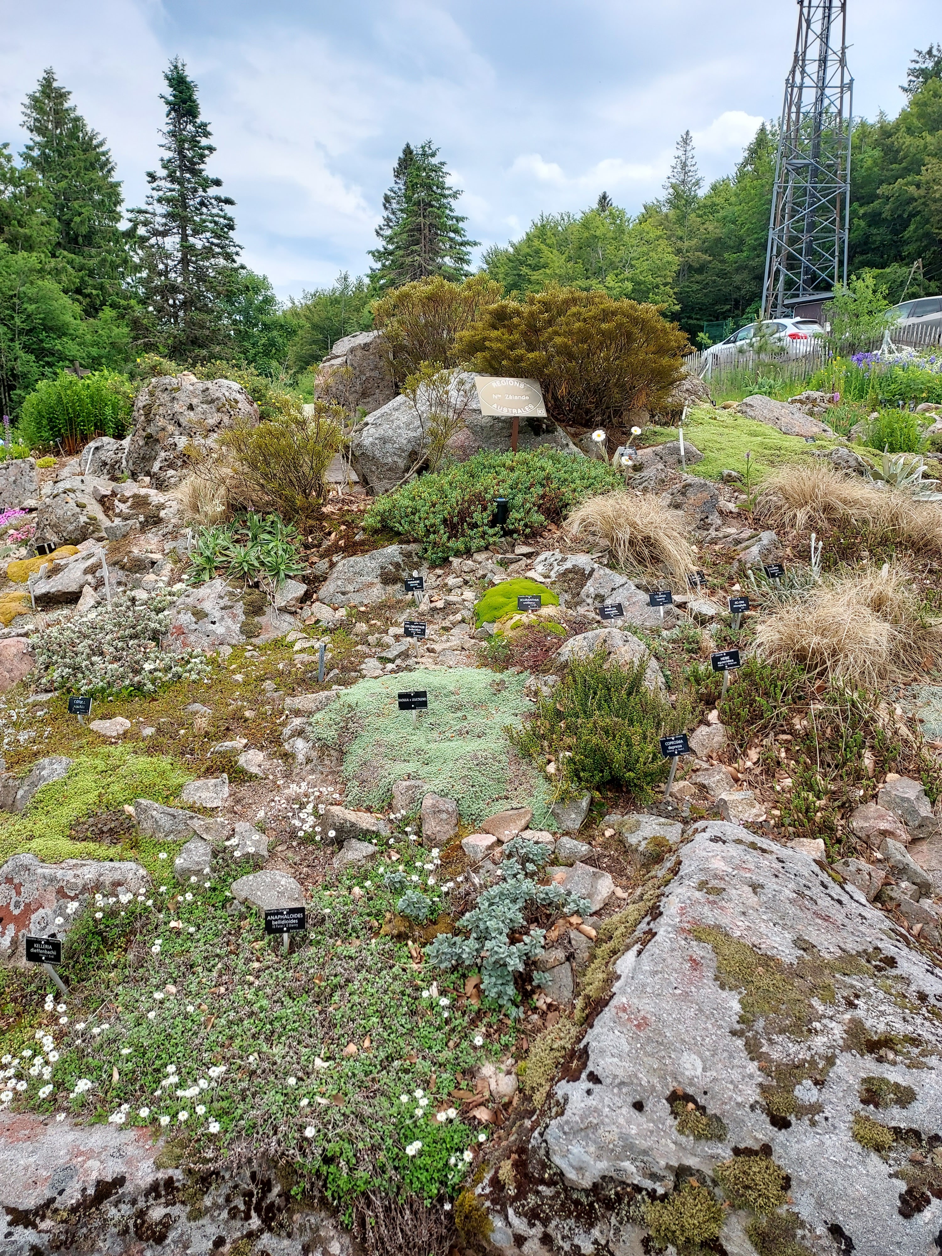 Photo n° 9 de l'avis de Quentin.r fait le 27/06/2023 à 17:39