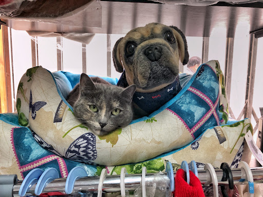 Clínica Veterinaria Andújar en Andújar
