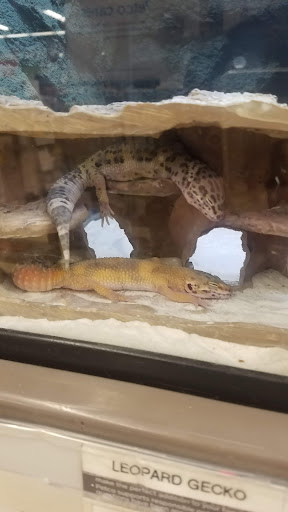 Pet Supply Store «Petco Animal Supplies», reviews and photos, 509 NJ-70, Brick, NJ 08723, USA