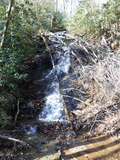 Department Store «Belk», reviews and photos, 520 Lakeland Plaza, Cumming, GA 30040, USA