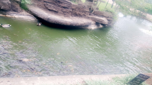 Zoo «Potawatomi Zoo», reviews and photos, 500 S Greenlawn Ave, South Bend, IN 46615, USA