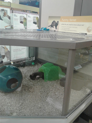 Pet Supply Store «Petco Animal Supplies», reviews and photos, 13 Welles St, Glastonbury, CT 06033, USA