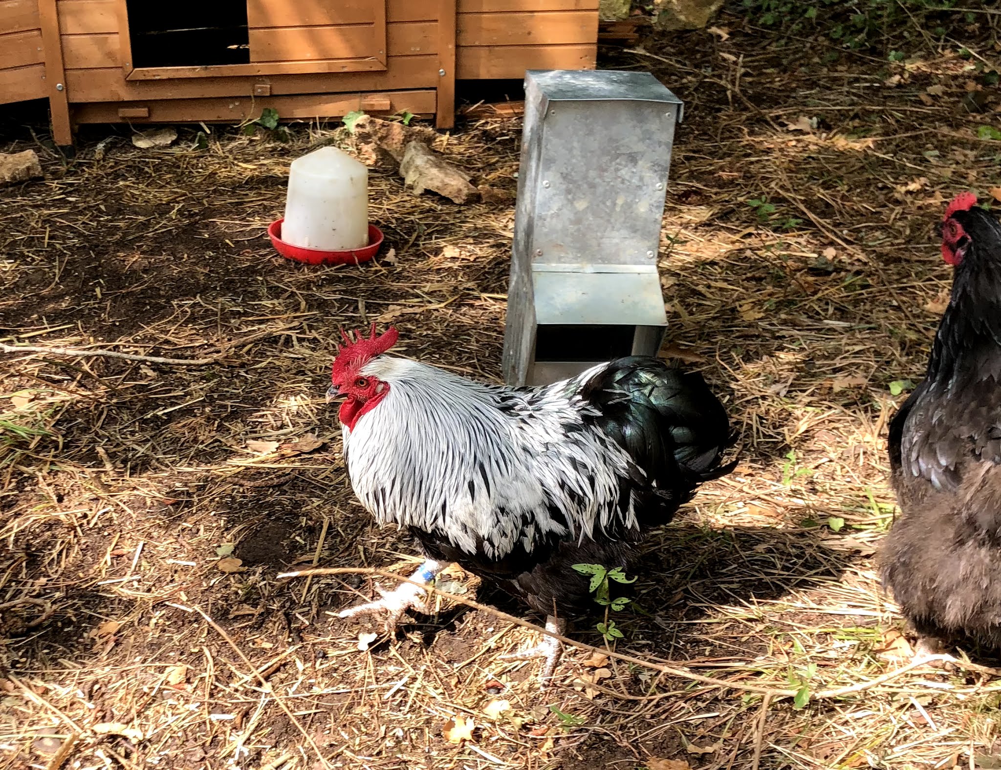 Photo n° 10 de l'avis de Izzie. fait le 26/07/2019 à 19:34