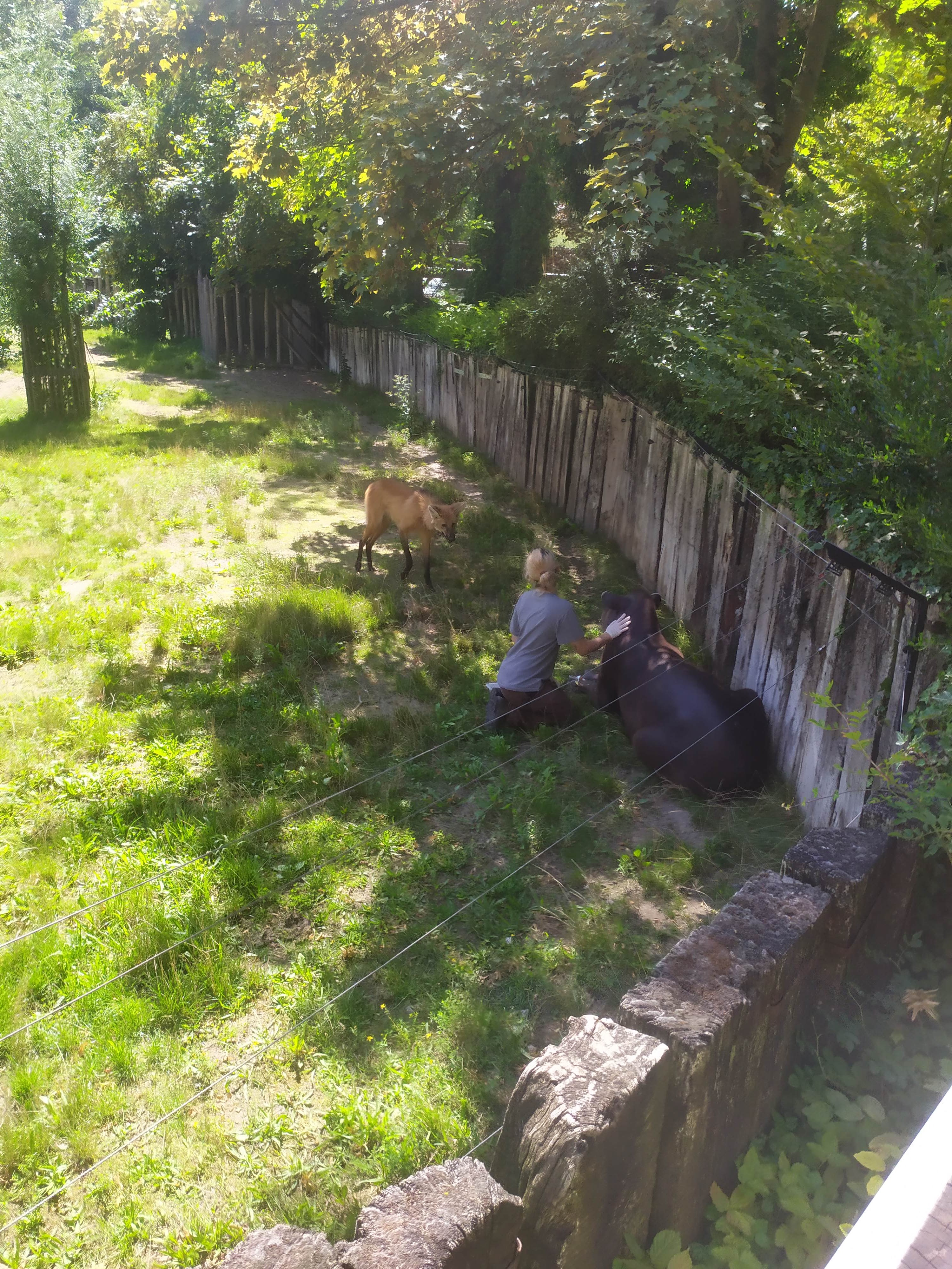 Photo n° 2 de l'avis de M.. fait le 11/08/2023 à 11:18