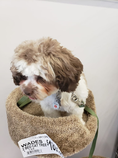 Pet Supply Store «Bow Wow and Meow Pet Supplies», reviews and photos, 1648 S 4th St, Allentown, PA 18103, USA