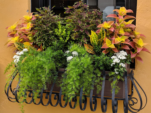 Historical Landmark «Historic Charleston City Market», reviews and photos, 188 Meeting St, Charleston, SC 29401, USA