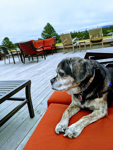 Golf Club «Gearhart Golf Links», reviews and photos, 1157 N Marion Ave, Gearhart, OR 97138, USA