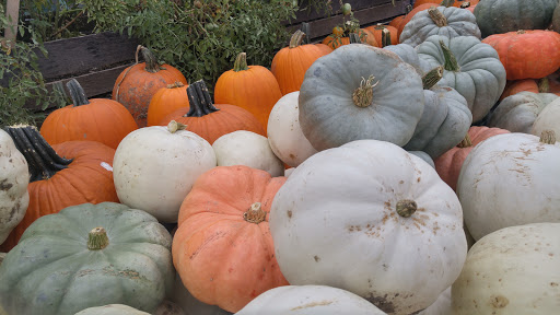 Grocery Store «Locally Grown Gardens», reviews and photos, 1050 E 54th St, Indianapolis, IN 46220, USA