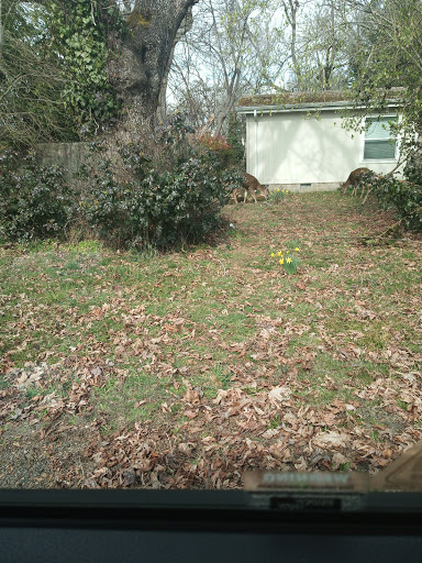 Discount Store «Walmart», reviews and photos, 321 NE Kings Valley Hwy, Dallas, OR 97338, USA