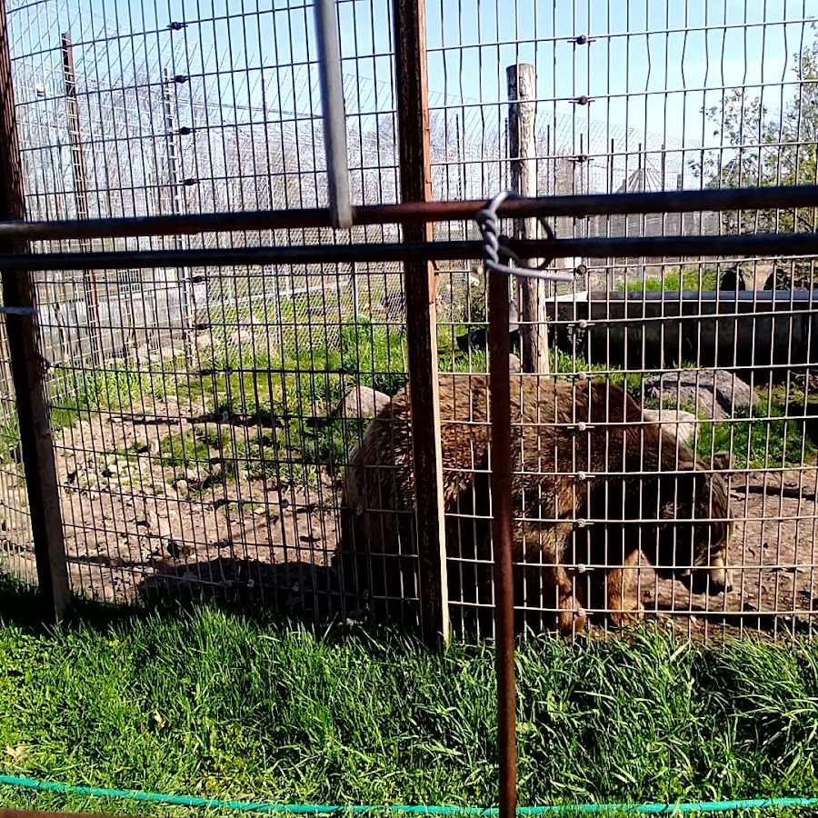 Animal Haven Farm Zoo