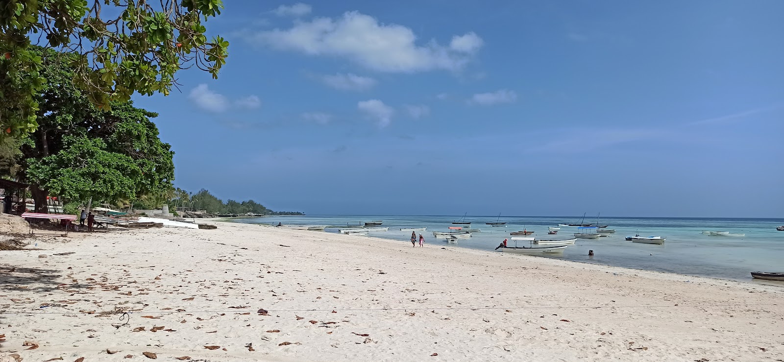 Fotografija Kizimkazi Beach udobje območja