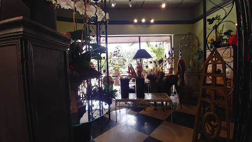 Florist «Tiger Lily», reviews and photos, 1619 Desoto Rd, Sarasota, FL 34234, USA