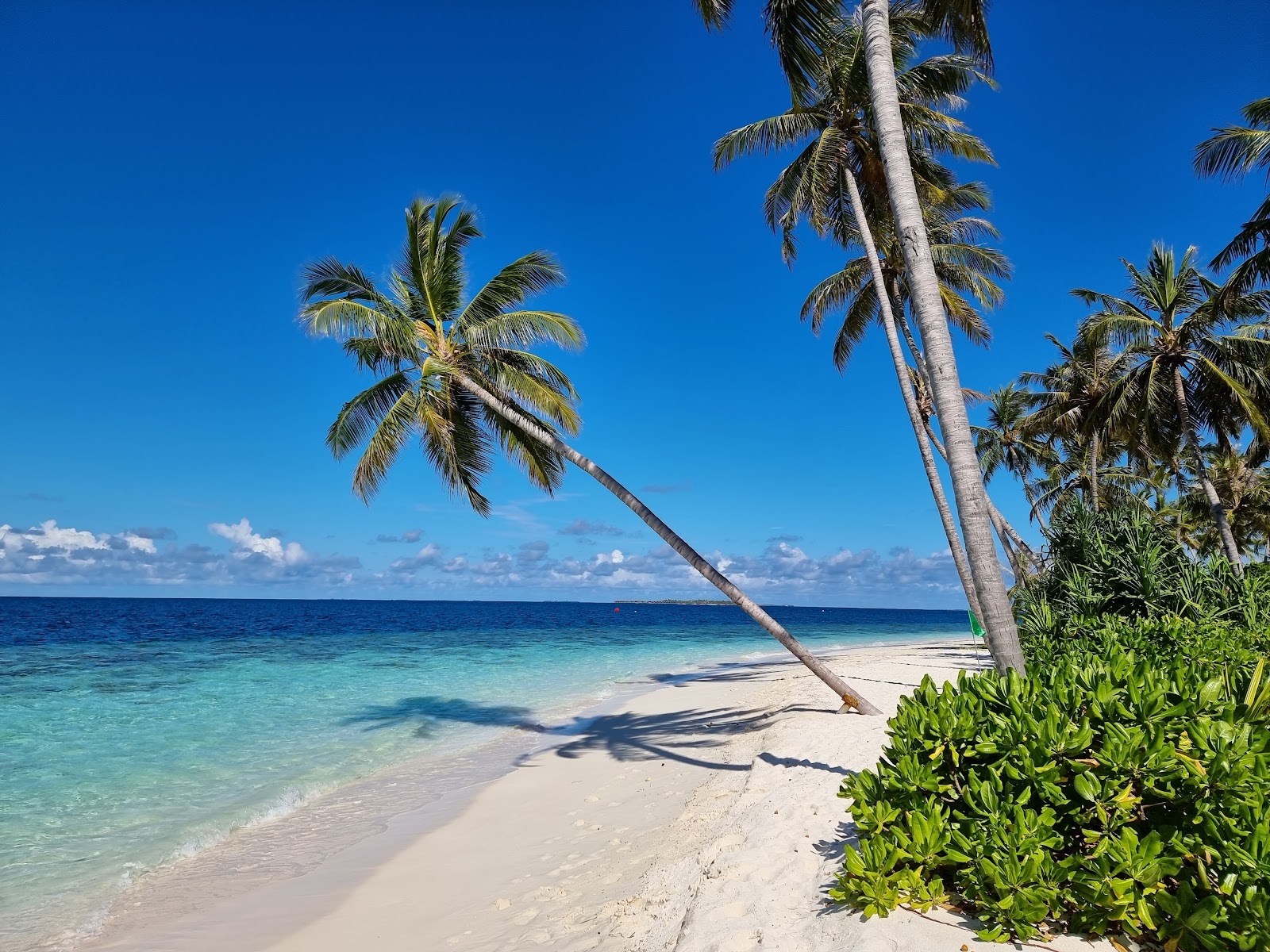 Foto de Playa de la Isla Filaidhoo con costa recta y larga