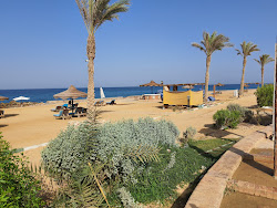 Blumar Dome Beach'in fotoğrafı çok temiz temizlik seviyesi ile