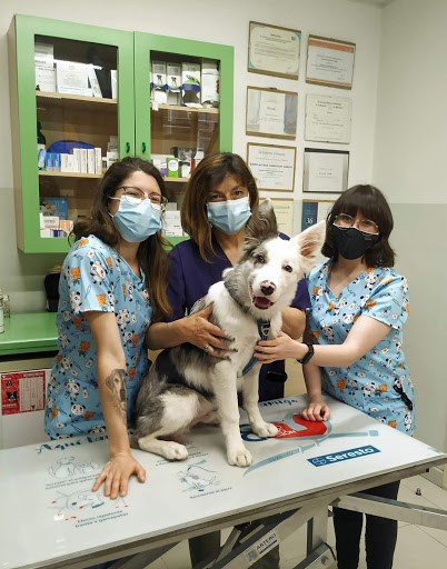 Clot Veterinaria en Barcelona