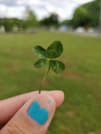 Park «Swift Cantrell Park», reviews and photos, 3140 Old 41 Hwy NW, Kennesaw, GA 30144, USA