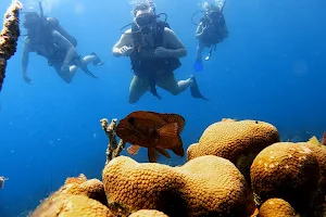 Diving Planet Island Centre image