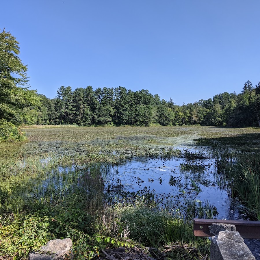 Merrill Pond State Reservation