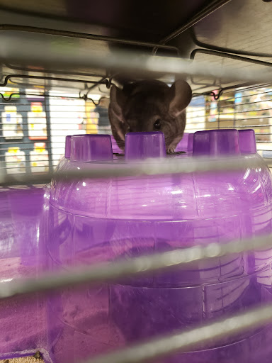 Pet Supply Store «PetSmart», reviews and photos, 144 Retail Commons Pkwy, Martinsburg, WV 25403, USA