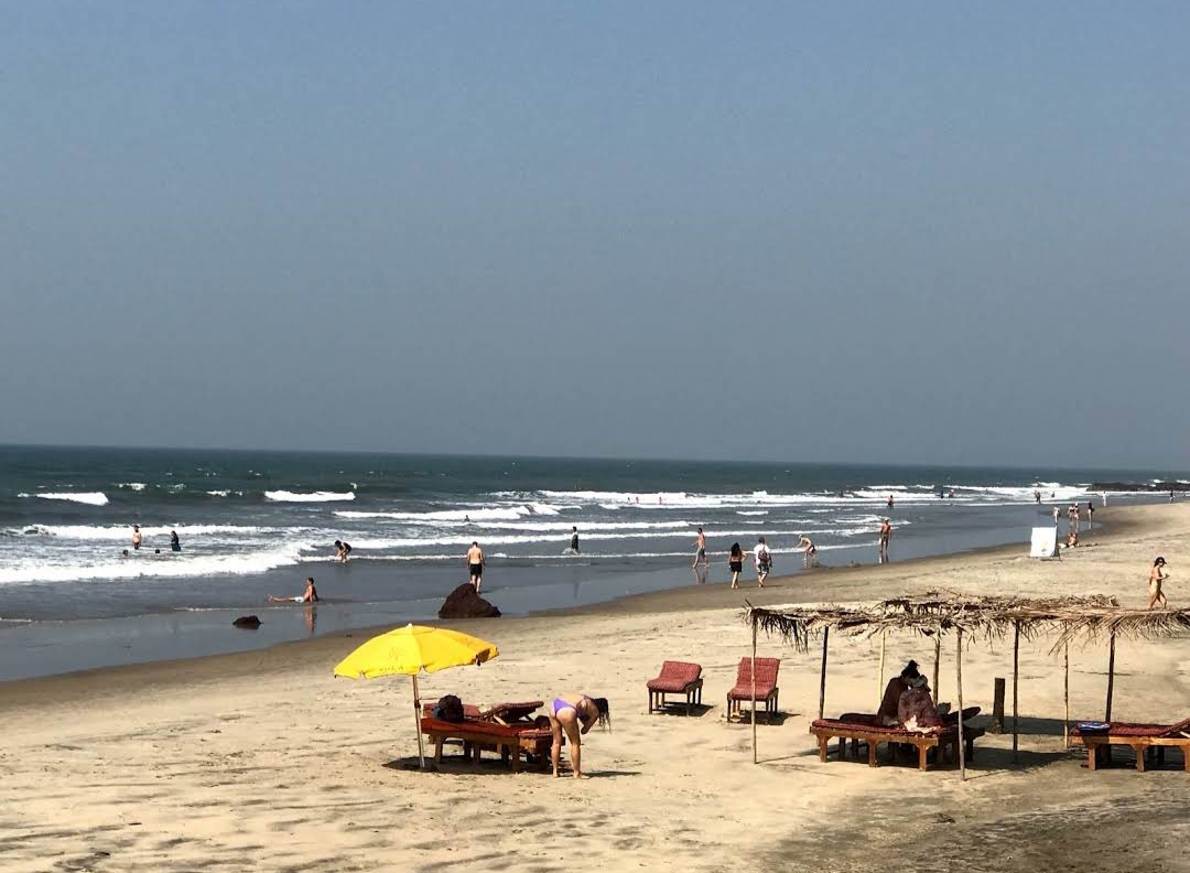Photo of Ashvem Beach with very clean level of cleanliness
