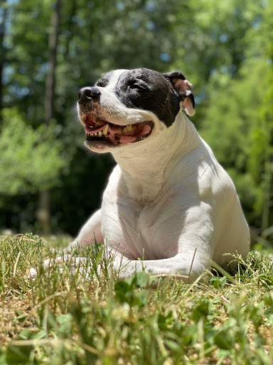 386 Kings Hwy, Fredericksburg, VA 22405, USA