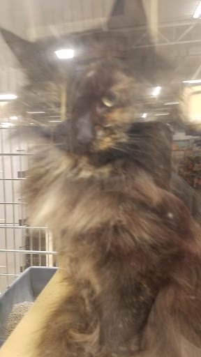 Pet Supply Store «PetSmart», reviews and photos, 8500 N Evanston Ave, Kansas City, MO 64157, USA