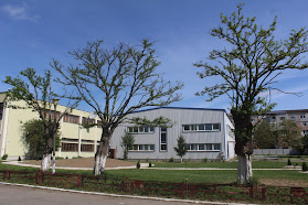 Liceul Tehnologic „Alexandru Domșa”