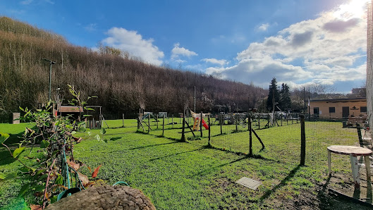 Centro Cinofilo La Testa del Cane Via Monteuovolo, Snc, 83020 Cesinali AV, Italia