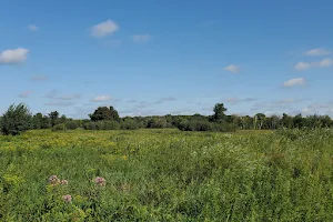 Blaine Wetland Sanctuary image