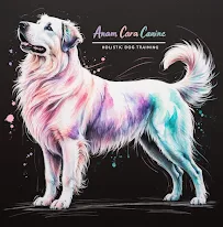 Anam Cara Canine - Car repair in , Roanoke - Rated 5.0/5