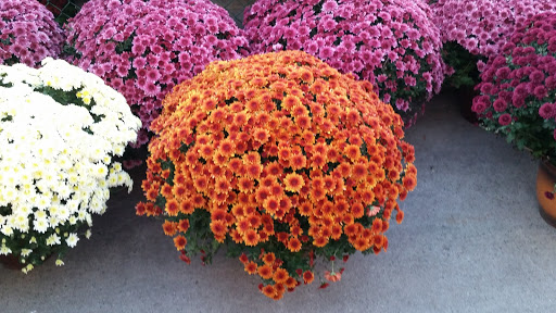 Home Improvement Store «The Home Depot», reviews and photos, 4200 Derry St, Swatara, PA 17111, USA