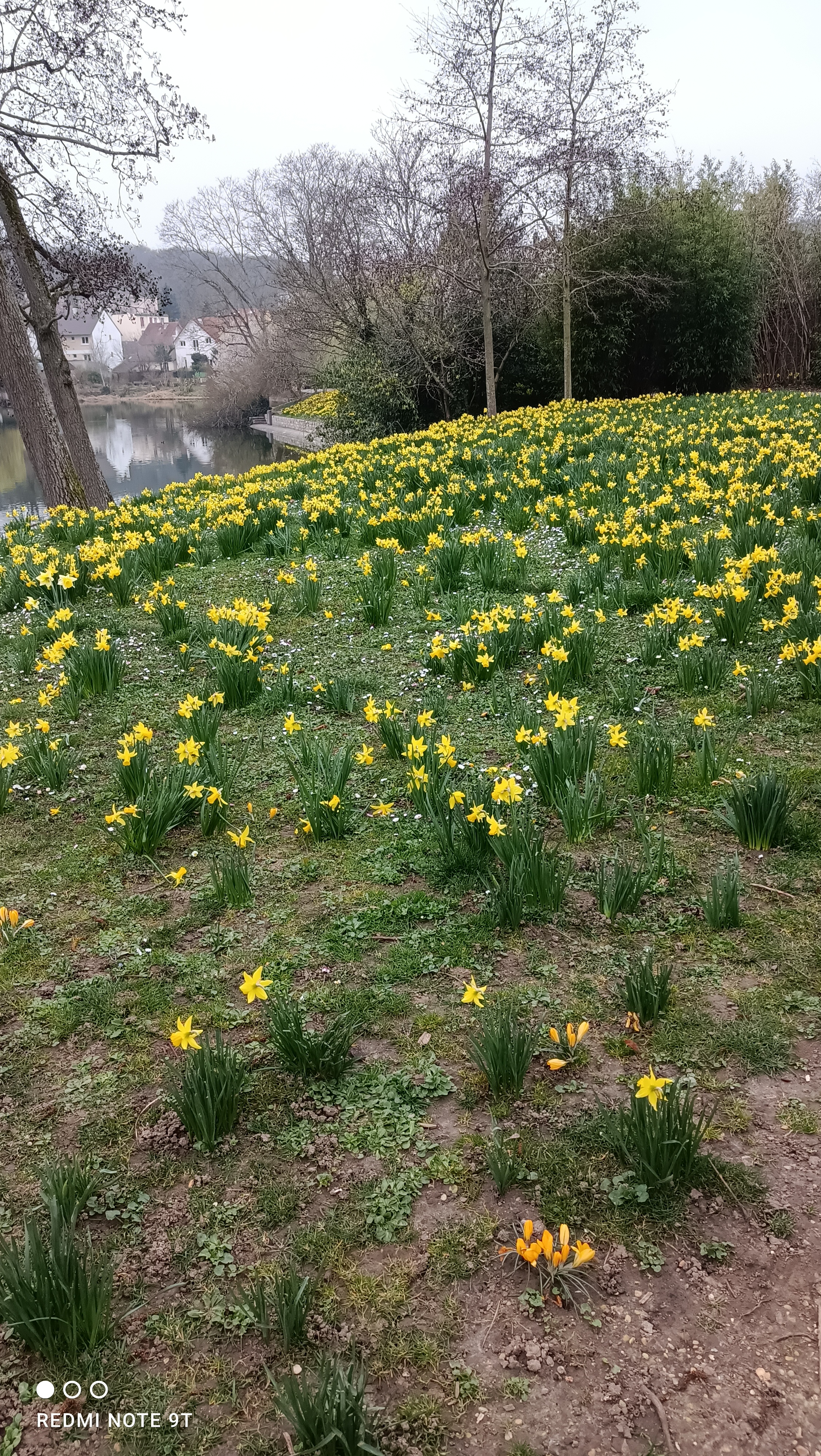 Photo n° 9 de l'avis de BOUBOU.� fait le 17/08/2021 à 05:00