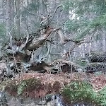 Photo n°10 de l'avis de j. fait le 11/03/2020 à 15:17 sur le  Arberseehaus à Bayerisch Eisenstein