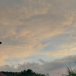 Photo n°1 de l'avis de Massimo.o fait le 26/07/2023 à 20:21 sur le  Trattoria Da LUCIA Piscopo Luigi à Vieste