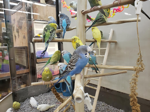 Pet Supply Store «Petco Animal Supplies», reviews and photos, 190 Quality Dr, Hooksett, NH 03106, USA